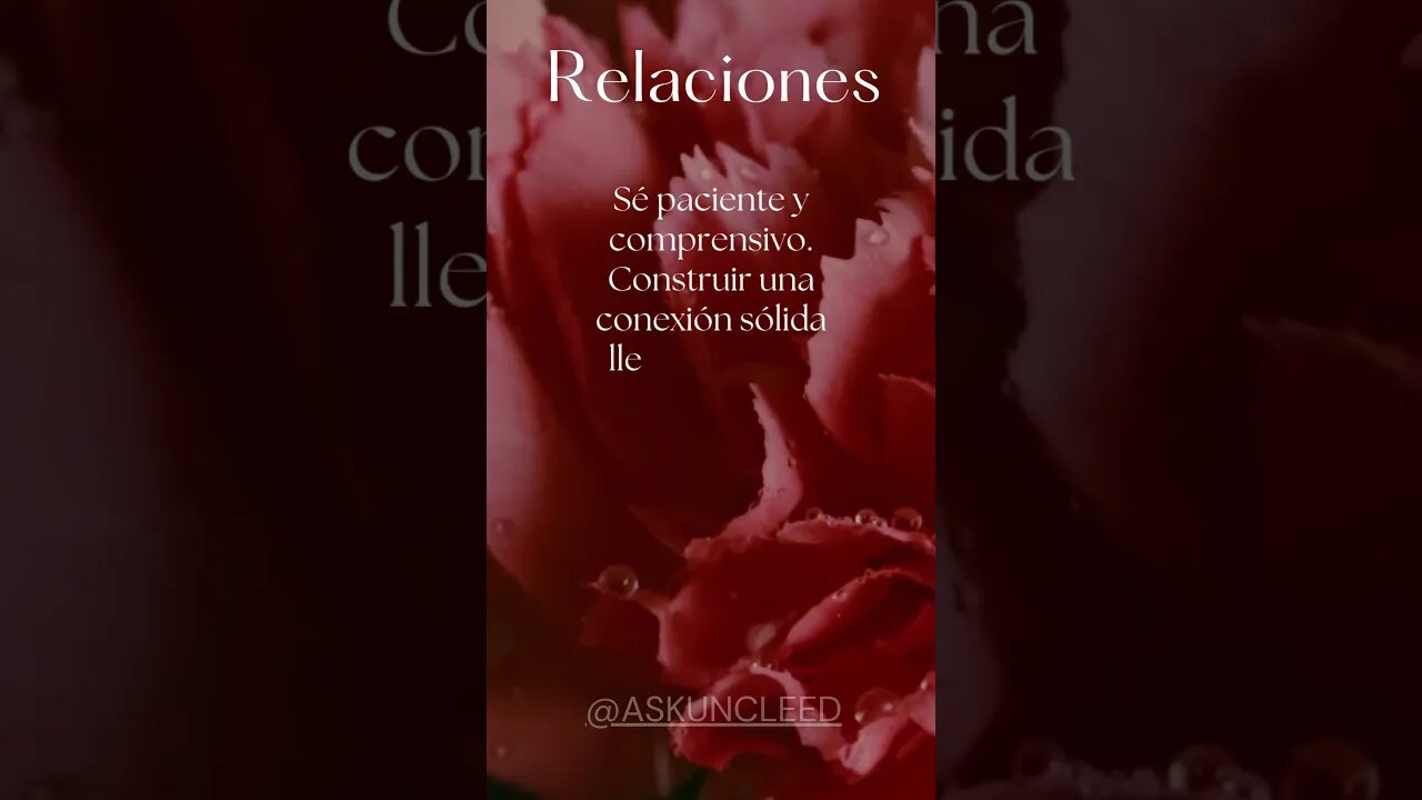 Consejos de Relaciones