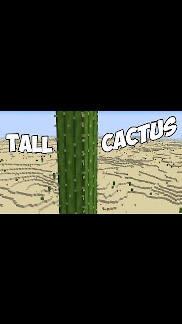 MINECRAFT 2021 - "Minecraft's Tallest Cactus... #shorts"