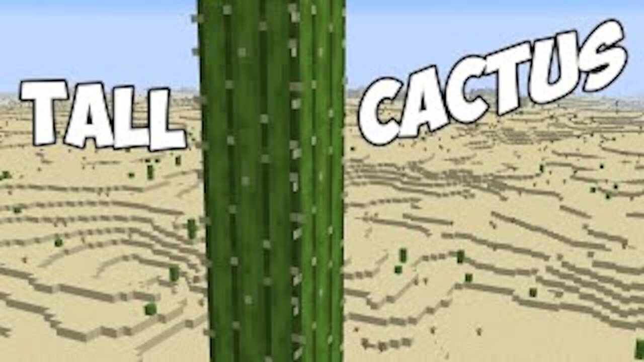 MINECRAFT 2021 - "Minecraft's Tallest Cactus... #shorts"