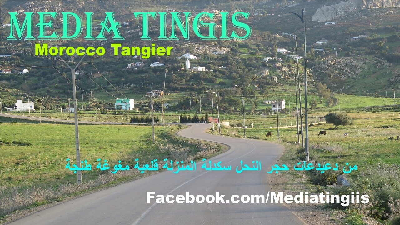 من دعيدعات حجر النحل سكدلة المنزلة قلعية مغوغة طنجة 16 02 2024 Morocco Tangier