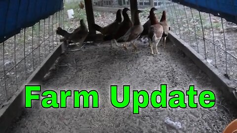 Farm Update for September