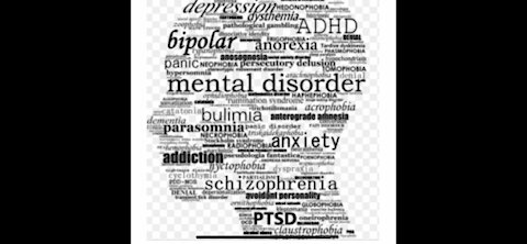 Report & Psychologist Take on the Regime