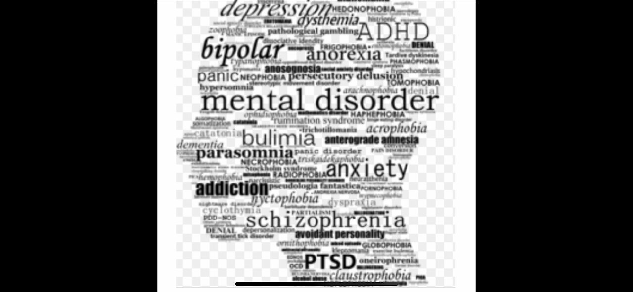 Report & Psychologist Take on the Regime