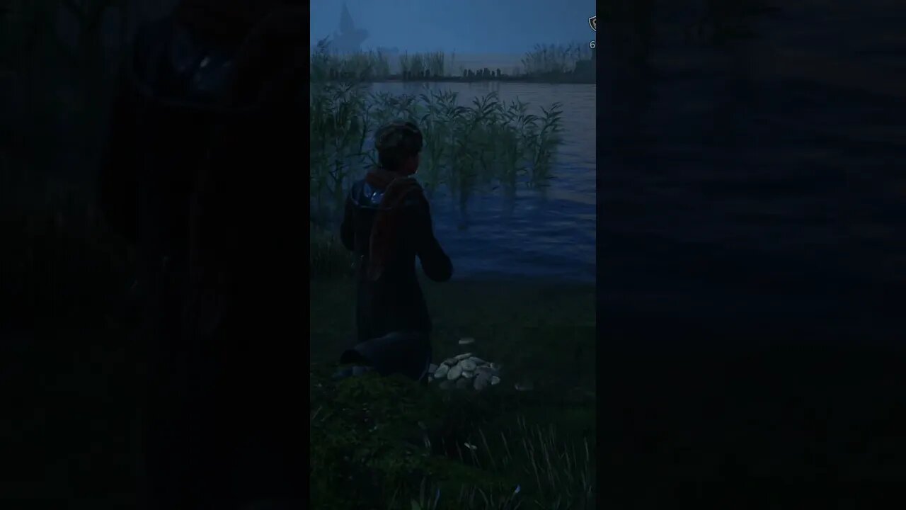 Hogwarts Legacy Skipping Stones #short