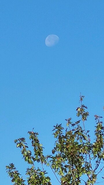 early morning moon and sun