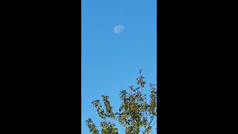 early morning moon and sun