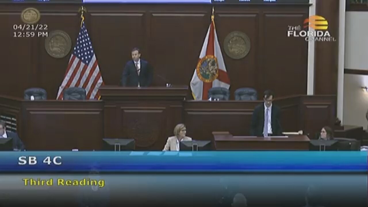 Democrats In FL Yell and Shriek As Disney's Tax Status Is Removed