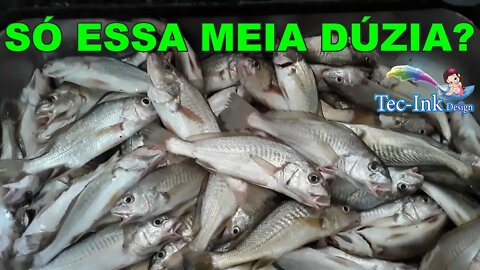 Na Pescaria De Robalo C/ Camarão Vivo (Pitú) Só Tinha Corvina | + Peixe Q Água No Rio | Fiz 1 FRITO