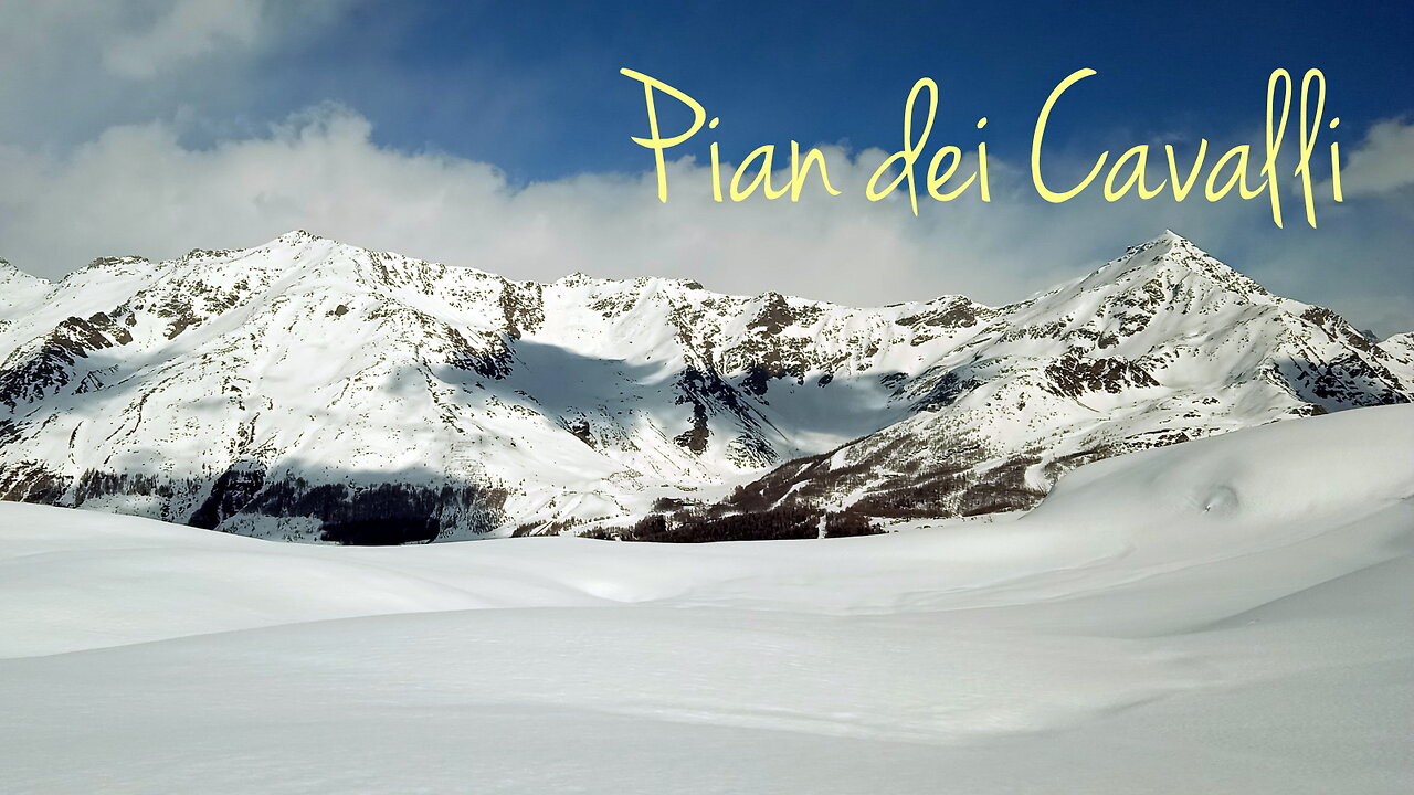 2024 | Pian dei Cavalli