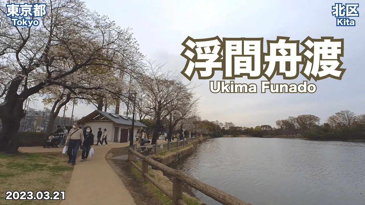 【Tokyo】Walking on Ukima Funado (2023.03.21)