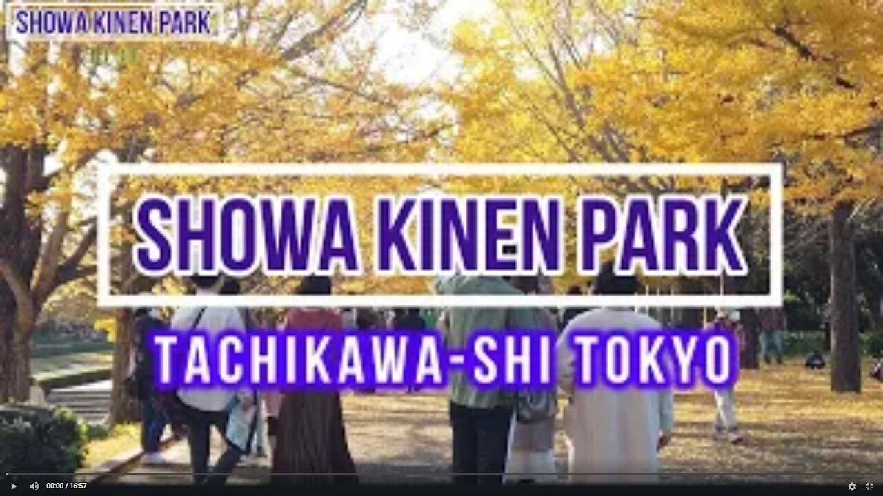 Autumn - Showa Kinen Park [4k] 昭和記念公園 I Tachikawa-shi Tokyo I JAPAN