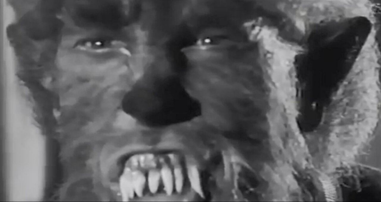 I was a Teenage Werewolf Movie Trailer Creature Feature