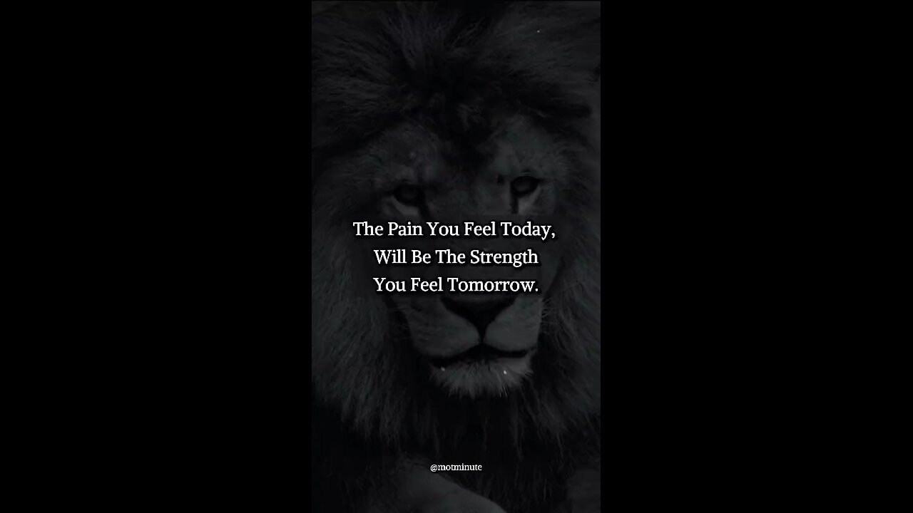 The pain you feel today will be the strength you Feel tomorrow, life lessons