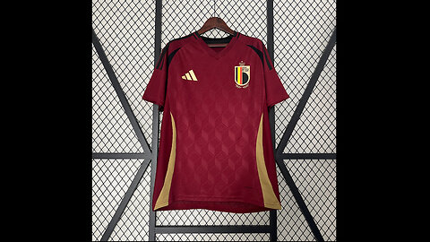 👉🏻⚽️2024 Belgium Home Adult Jersey