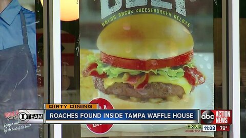 Waffle House in Tampa briefly shut down after inspector finds dozens of roaches