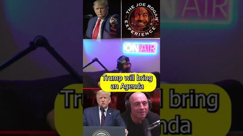 Why Joe Rogan Will Not Interview Trump #joerogan #trump #shortsviral #shortsvideo