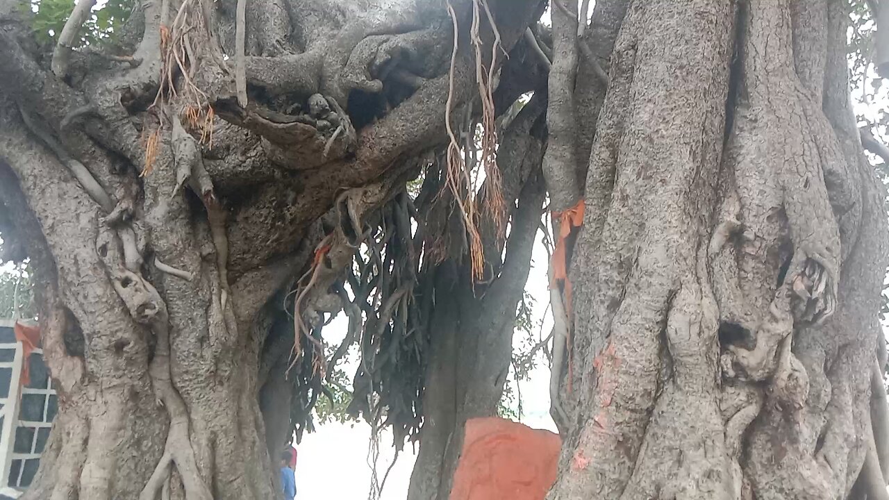 Indalwai Mini Water Falls, Telangana (India)