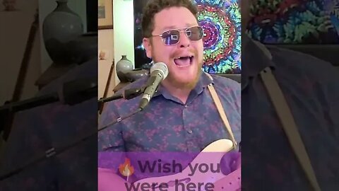 Wish You Were Here. #shorts #shortsvideo #shortsfeed #rock #music #follow #subscribe #share #viral