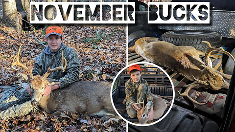 Compilation of November Bucks | Virginia Deer Hunting - Deer Season 2023