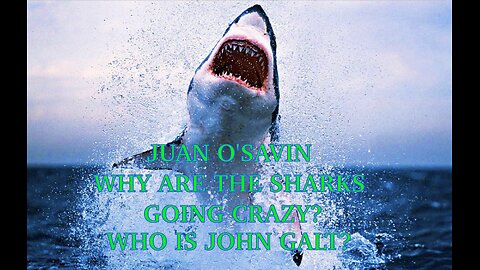 JUAN O'SAVIN WHAT IS HAPPENING TO THE OCEANS? SHARKS GOING CRAZY. TY JGANON, SGANON