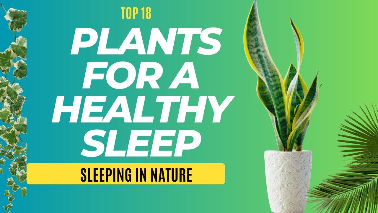 Top 18 Plants for a Healthy Sleep: Revealing Nature's Best-Kept Secret