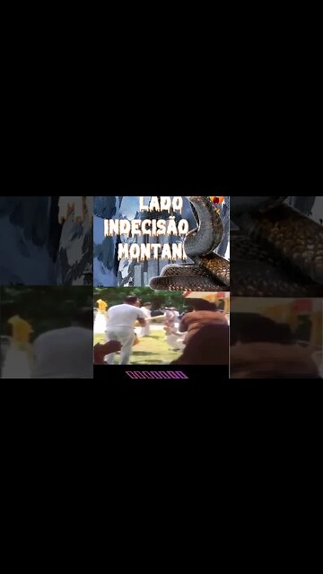 Para que lado Indecisão na Montanha, A Naja iria pegar o Monge ? #shorts