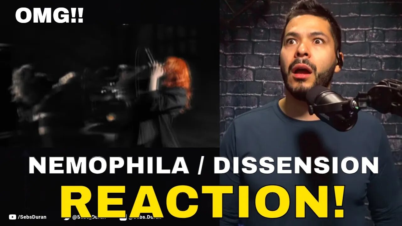 First time checking out NEMOPHILA / DISSENSION (Reaction!) | AYOOOOO