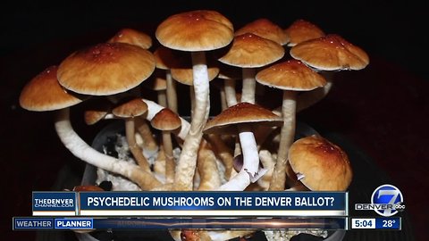 Psychedlic mushrooms could be on Denver ballot in May