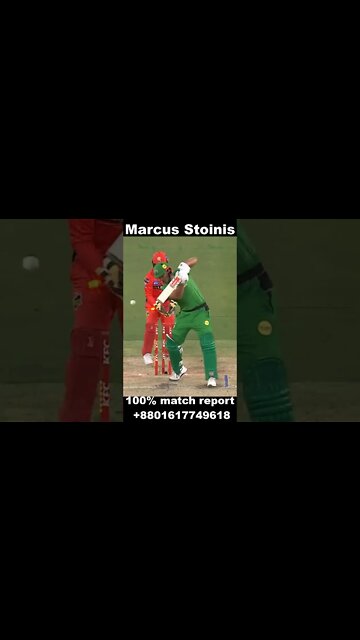 marcus stoinis bowled out #shorts #cricketshort