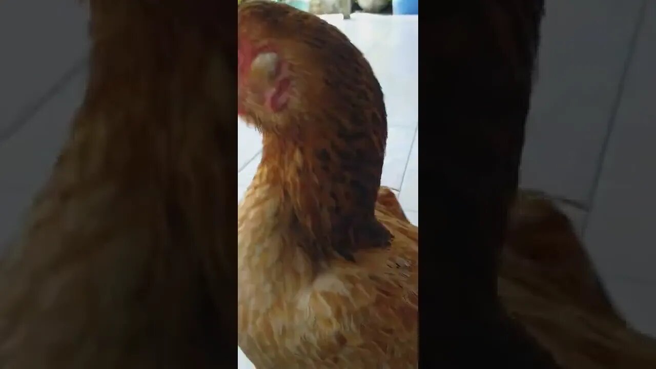 Meus Olhos são azuis!!!