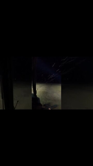 John Wicks 12 gauge vs boar. #boar #hunting #nightvisionscope #hoghunting #sxs