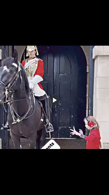 Just beautiful....this is the respect both the guard and horse deserve.