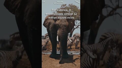 Africa