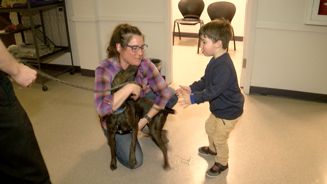 Mother and son reunited with dog after it was stolen in Denver