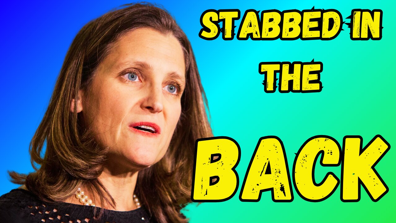 Chrystia Freeland gets TRASHED By her OWN MP's