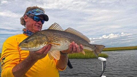 Bayou Bruisers