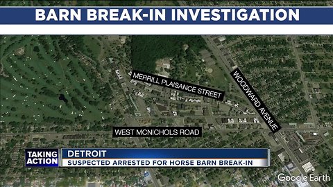 One suspect arrested for horse barn break-in in Detroit