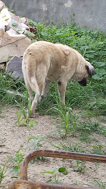 what is he doing? can anyone tell me