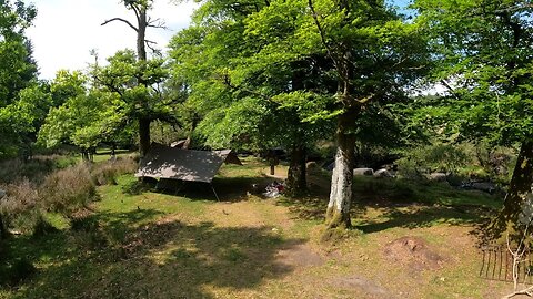 Getting ready to leave camp. riverside wildcamping. Dartmoor. speedlapse 23rd May 2023