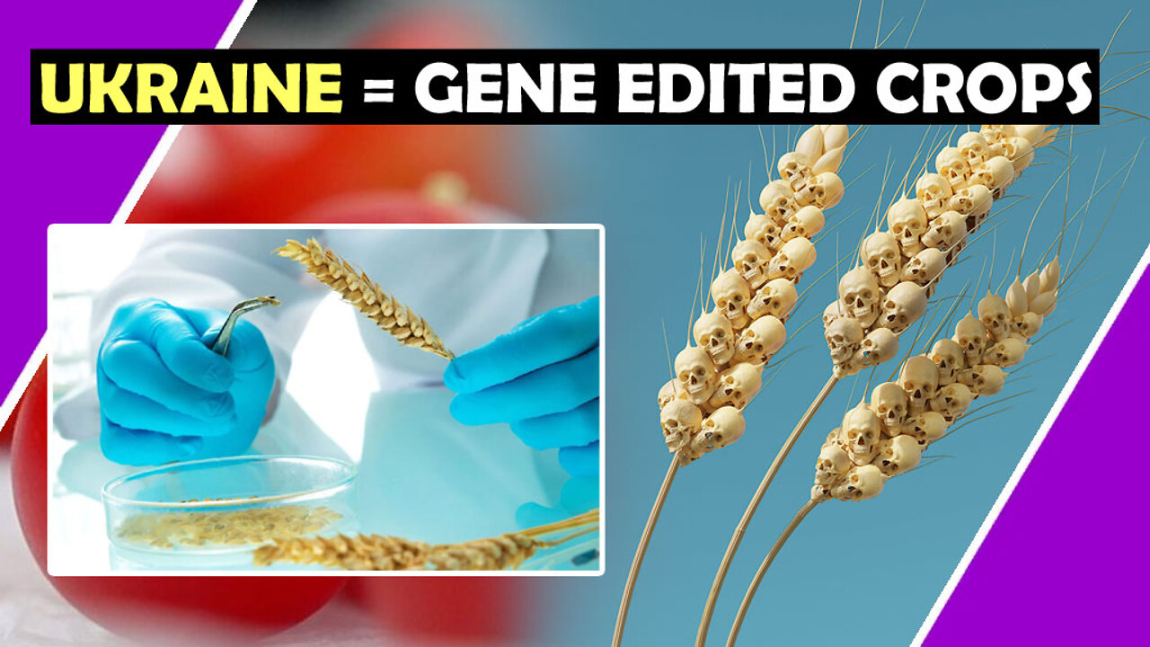 Ukraine = Gene Edited Crops / Hugo Talks