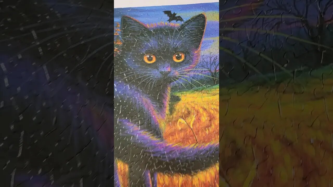 Happy Friday the 13th! #puzzle #friday #blackcat #puzzletime #shorts #satisfying