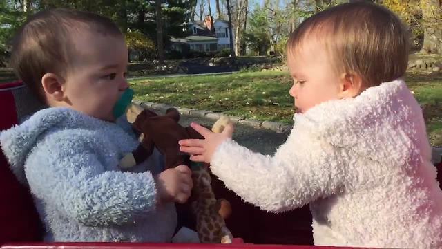 "Twin Babies Fighting Over Pacifier & Toy Monkey"