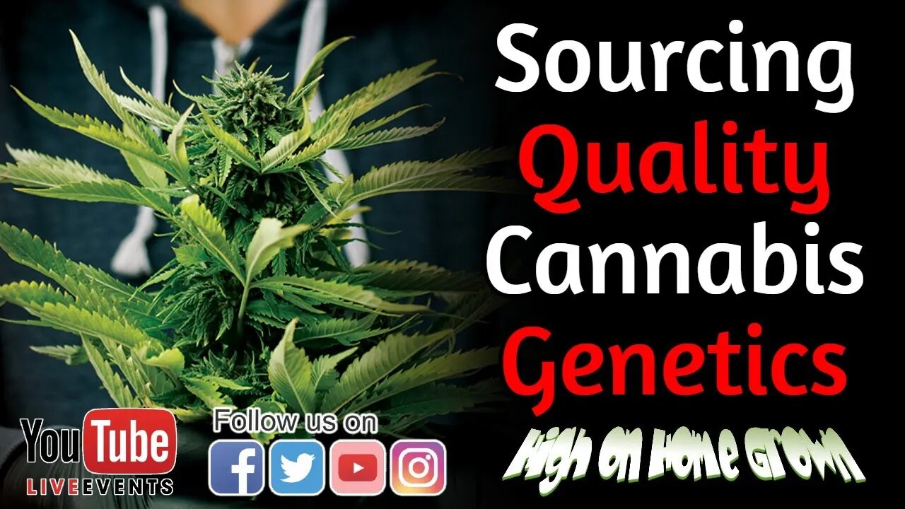 Cannabis News | Finding Quality Cannabis Genetics| @HighonHomeGrown Episode 152