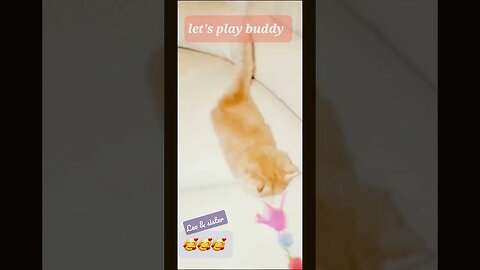 #cute Leo #playing🥰🥰🥰