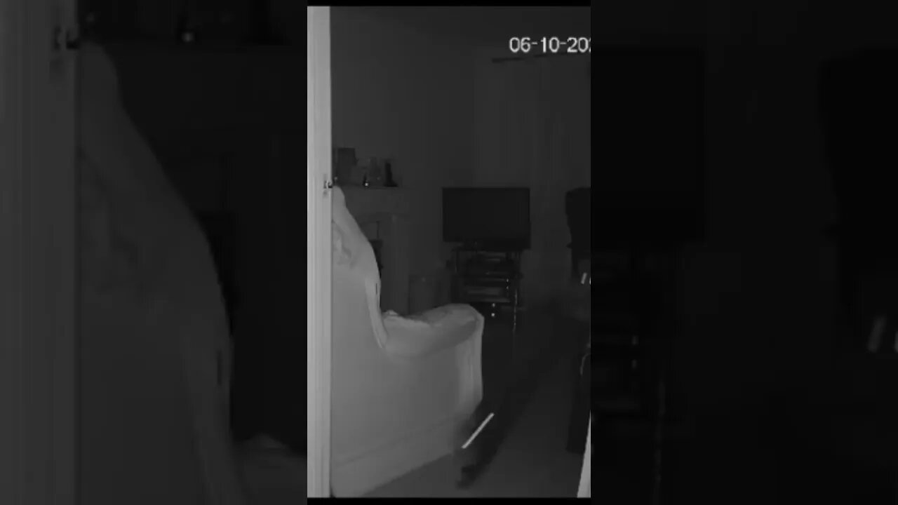 5am cat antics caught on cat cam 🐈‍⬛🐆 #catcam #bengalcat #nightvisioncamera