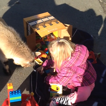 You Can’t Play With Me Girl With A Goat