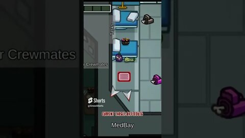 The Among Us Rampage