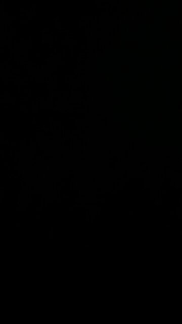 Joe Rogan and JD Vance