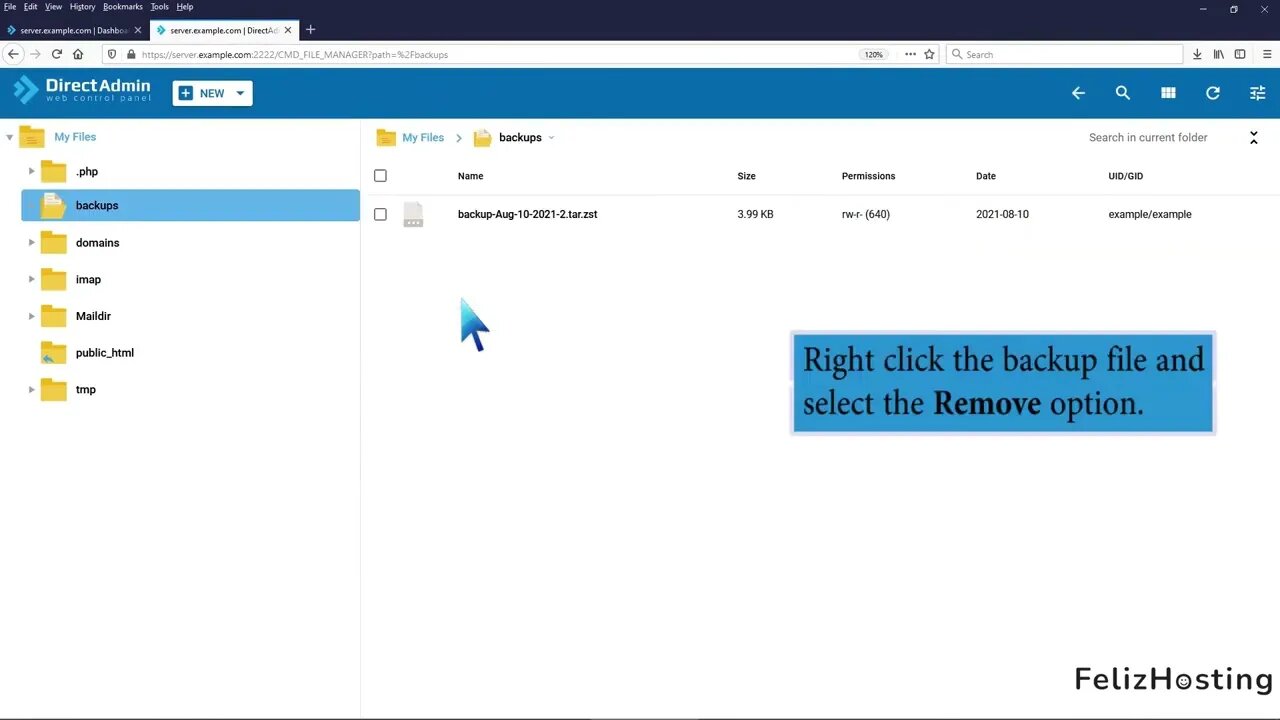 How to Remove a Backup File from Your DirectAdmin FelizHosting