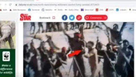 "Missing Rockefeller Eaten By Cannibals?" Mystery Solved?